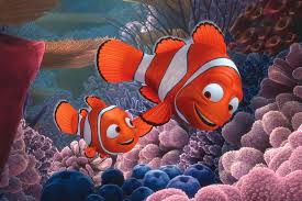 Finding Nemo Photo